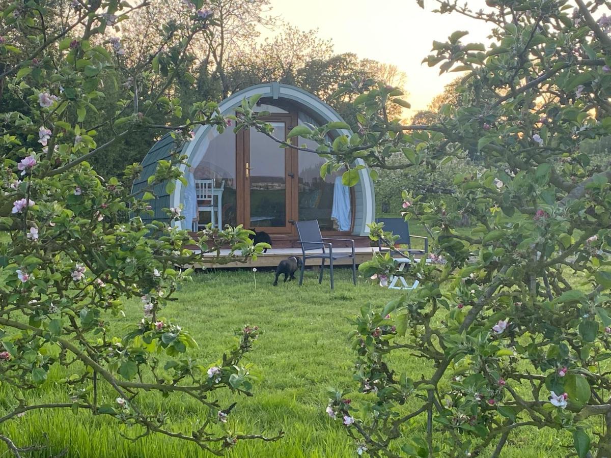 Orchard Luxe Glamping Pod Hotel Дънганън Екстериор снимка