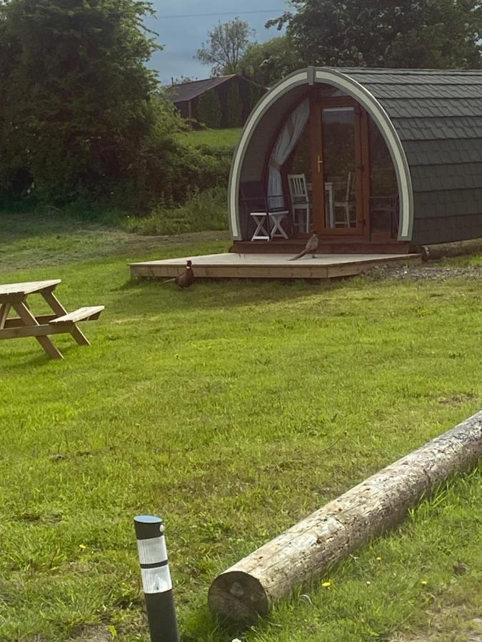 Orchard Luxe Glamping Pod Hotel Дънганън Екстериор снимка